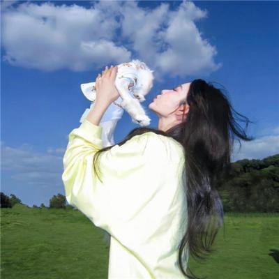 龙珠传奇之无间道